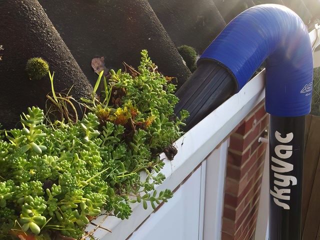 gutter-cleaning-2-kireth-ai